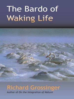 cover image of The Bardo of Waking Life